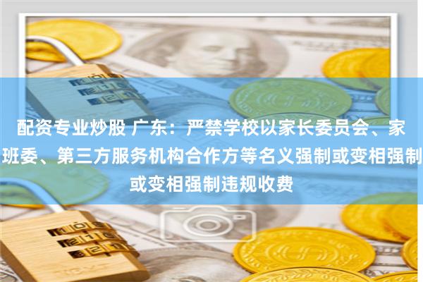 配资专业炒股 广东：严禁学校以家长委员会、家长学校、班委、第三方服务机构合作方等名义强制或变相强制违规收费