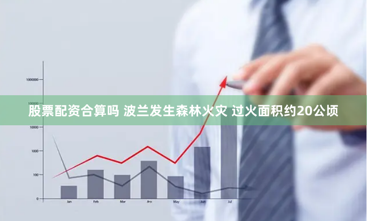 股票配资合算吗 波兰发生森林火灾 过火面积约20公顷