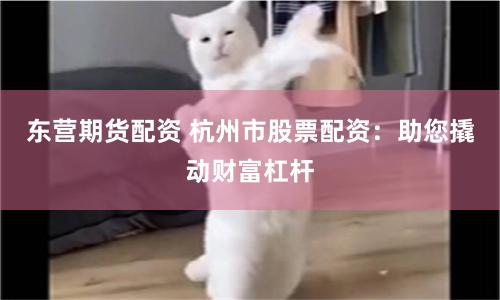 东营期货配资 杭州市股票配资：助您撬动财富杠杆