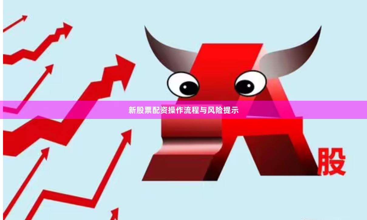 新股票配资操作流程与风险提示